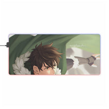 Load image into Gallery viewer, The Rising of the Shield Hero RGB LED Mouse Pad (Desk Mat)
