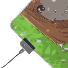 Load image into Gallery viewer, The Rising Of The Shield Hero RGB LED Mouse Pad (Desk Mat)
