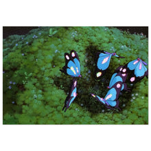 Load image into Gallery viewer, Anime Princess Mononoke Jigsaw Puzzle