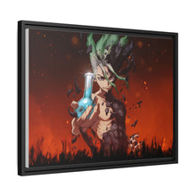 Load image into Gallery viewer, Dr. Stone Canvas Framed Art Print