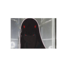 Load image into Gallery viewer, Darling In The FranXX Rug
