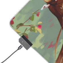 Load image into Gallery viewer, Tian Guan Ci Fu RGB LED Mouse Pad (Desk Mat)