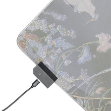 Load image into Gallery viewer, Anime Vampire Hunter D RGB LED Mouse Pad (Desk Mat)