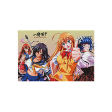 Load image into Gallery viewer, Ikki Tousen Rug