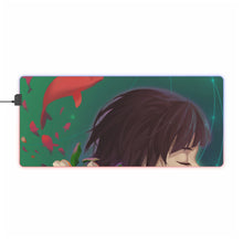 Load image into Gallery viewer, Big Fish & Begonia RGB LED Mouse Pad (Desk Mat)