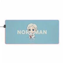 Load image into Gallery viewer, Norman RGB LED Mouse Pad (Desk Mat)