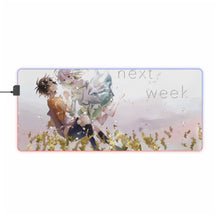 Load image into Gallery viewer, No Game No Life RGB LED Mouse Pad (Desk Mat)