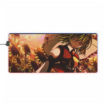 Load image into Gallery viewer, Touhou RGB LED Mouse Pad (Desk Mat)
