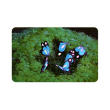 Load image into Gallery viewer, Anime Princess Mononoke Credit Card Skins (4-in-1 Pack)