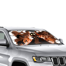 Load image into Gallery viewer, Childhood's End... Car Sunshade
