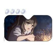 Load image into Gallery viewer, Futaba Rio Car Sunshade