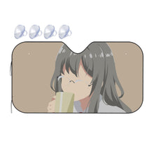 Load image into Gallery viewer, Futaba Rio Car Sunshade