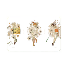 Load image into Gallery viewer, Norman, Emma and Ray Credit Card Skins (4-in-1 Pack)