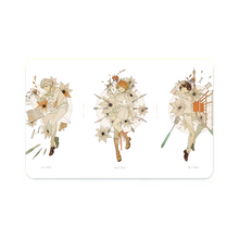 Load image into Gallery viewer, Norman, Emma and Ray Credit Card Skins (4-in-1 Pack)