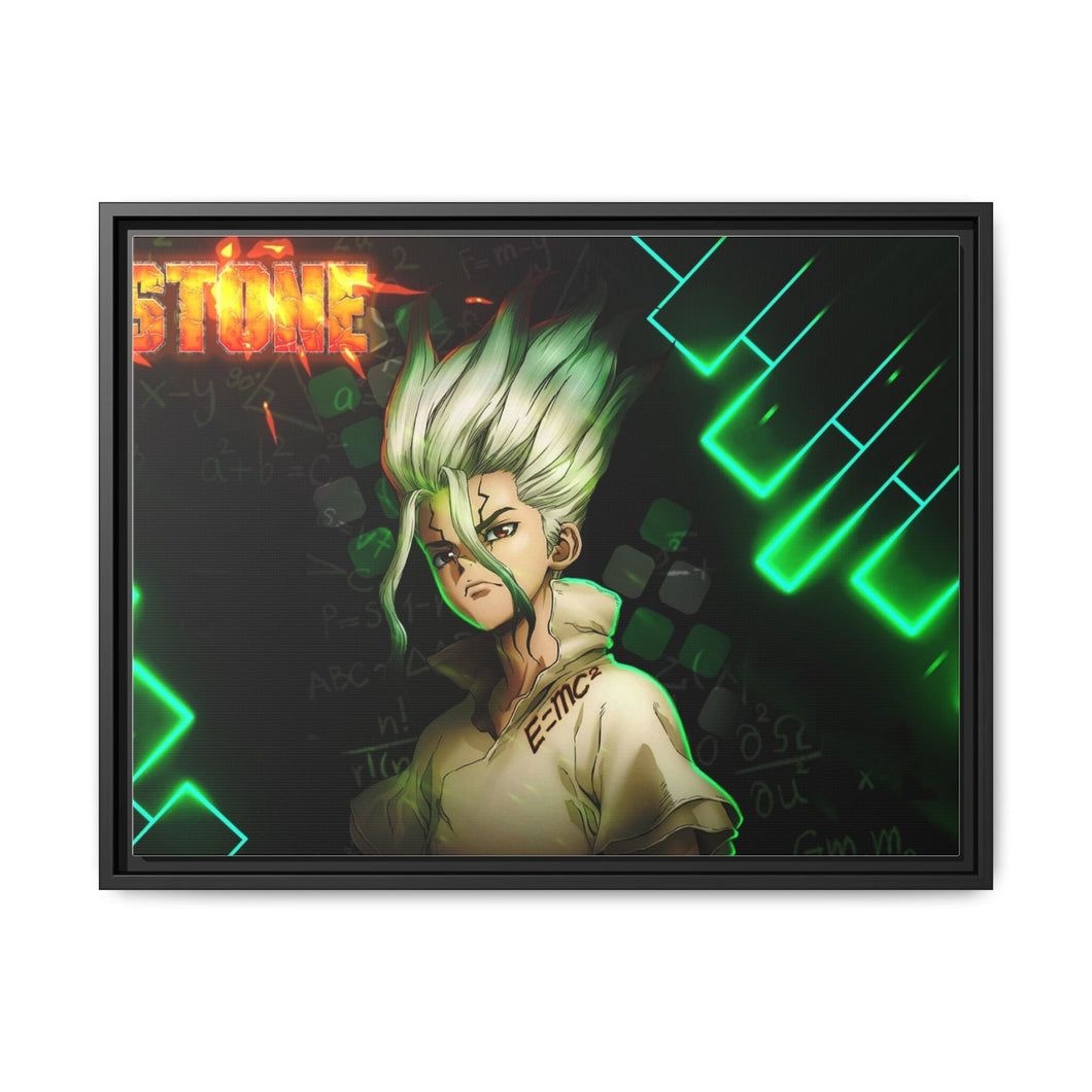 Dr. Stone Canvas Framed Art Print