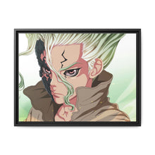 Load image into Gallery viewer, Dr. Stone Canvas Framed Art Print
