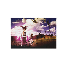 Load image into Gallery viewer, Bleach Rug
