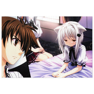 High School DxD Akeno Himejima, Issei Hyoudou, Koneko Toujou Jigsaw Puzzle