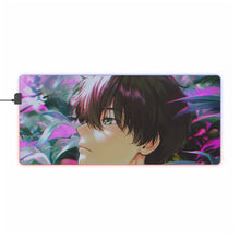 Load image into Gallery viewer, Hyouka RGB LED Mouse Pad (Desk Mat)
