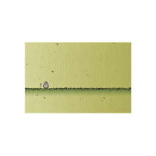 Load image into Gallery viewer, My Neighbor Totoro Rug
