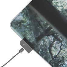 Load image into Gallery viewer, Mo Dao Zu Shi RGB LED Mouse Pad (Desk Mat)
