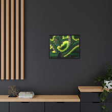 Load image into Gallery viewer, Anime Dragon Ball Zr Canvas Framed Art Print
