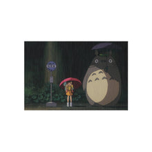Load image into Gallery viewer, My Neighbor Totoro Rug

