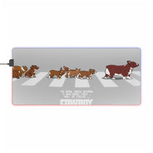 Load image into Gallery viewer, Cowboy Bebop Ein RGB LED Mouse Pad (Desk Mat)
