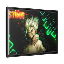Load image into Gallery viewer, Dr. Stone Canvas Framed Art Print
