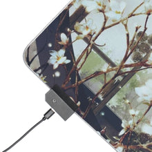 Load image into Gallery viewer, Mo Dao Zu Shi RGB LED Mouse Pad (Desk Mat)
