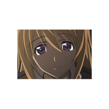 Load image into Gallery viewer, Infinite Stratos Rug
