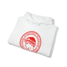 Load image into Gallery viewer, Olympiakos Unisex Heavy Blend Pullover Hoodie

