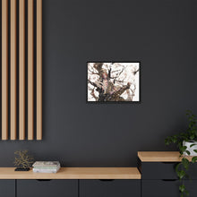 Load image into Gallery viewer, Anime One Piece Canvas Framed Art Print
