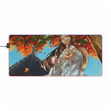 Load image into Gallery viewer, Tian Guan Ci Fu RGB LED Mouse Pad (Desk Mat)
