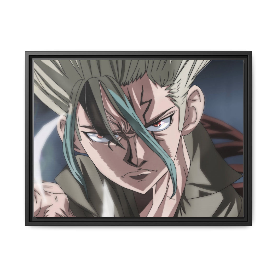 Dr. Stone Canvas Framed Art Print