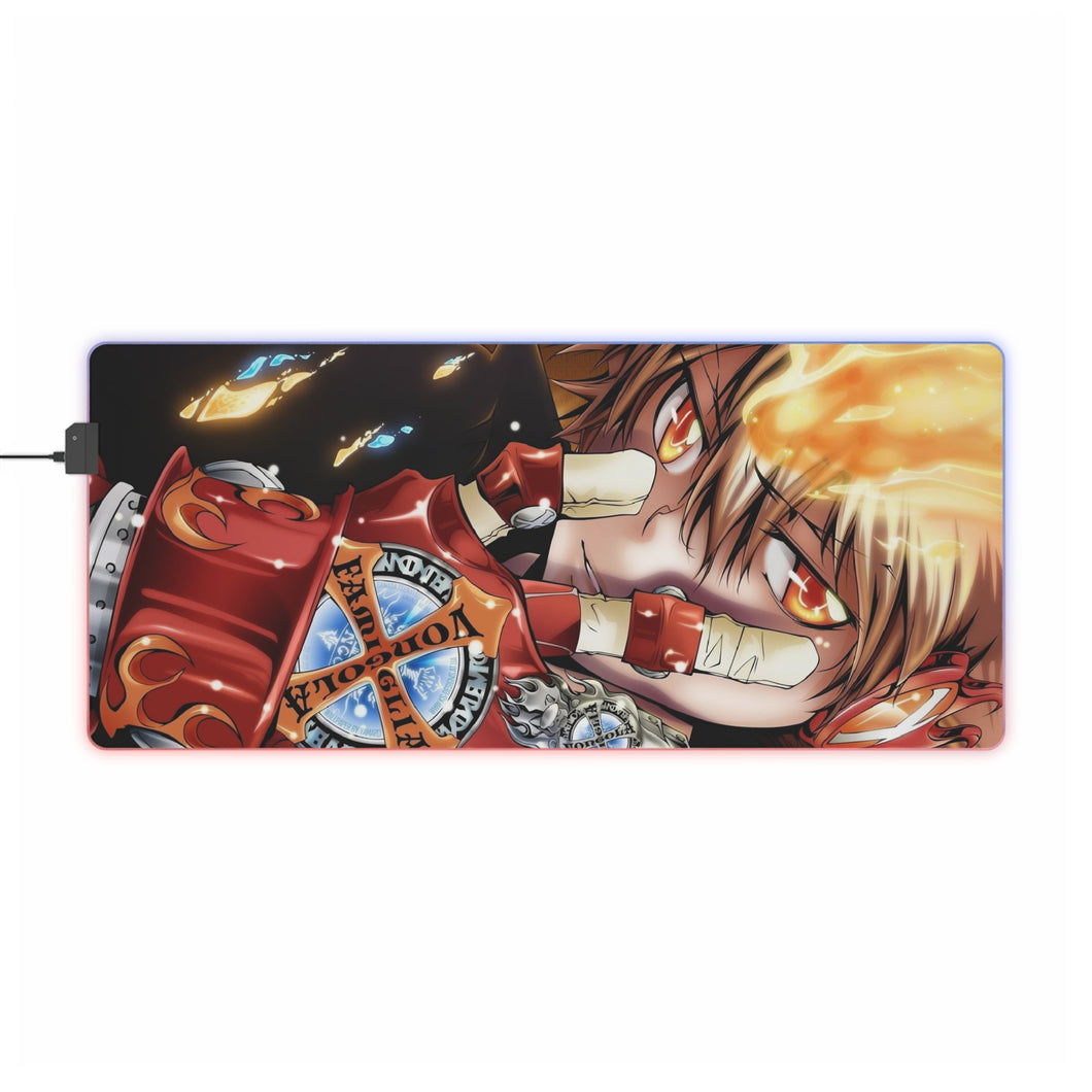 Reborn! Katekyo Hitman Reborn RGB LED Mouse Pad (Desk Mat)