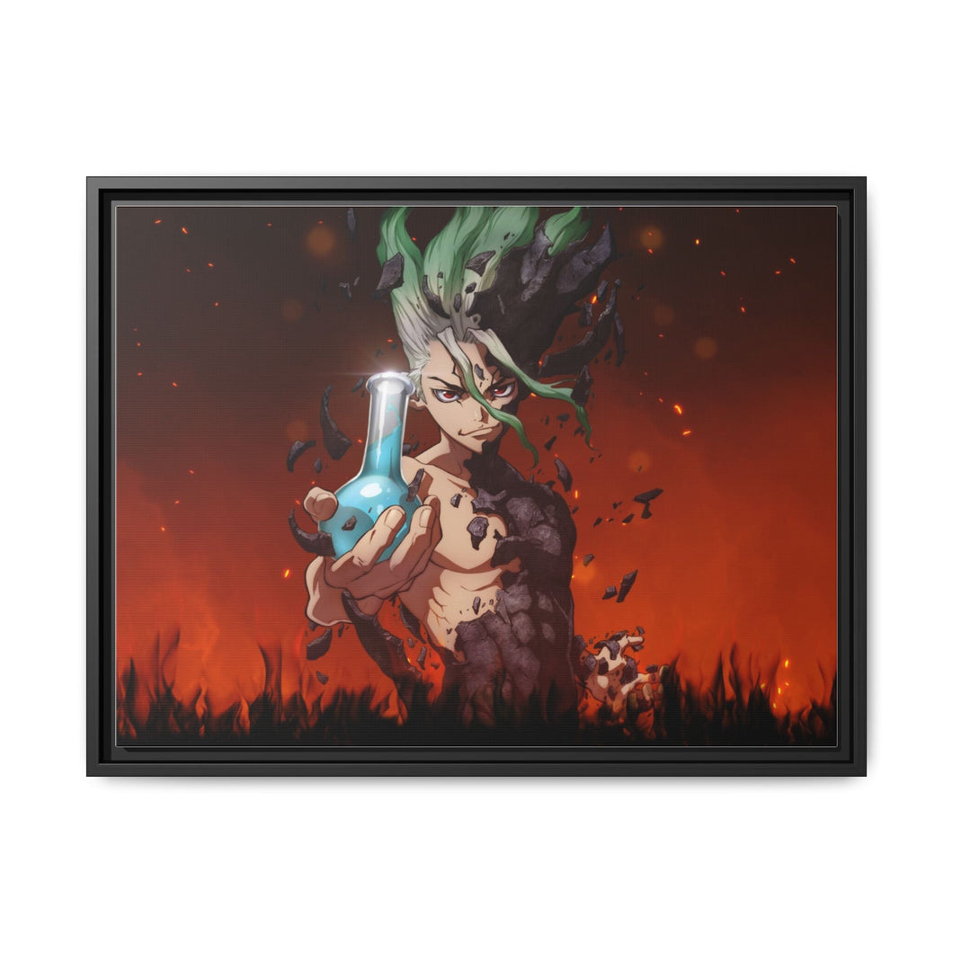Dr. Stone Canvas Framed Art Print