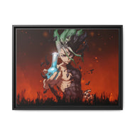 Dr. Stone Canvas Framed Art Print