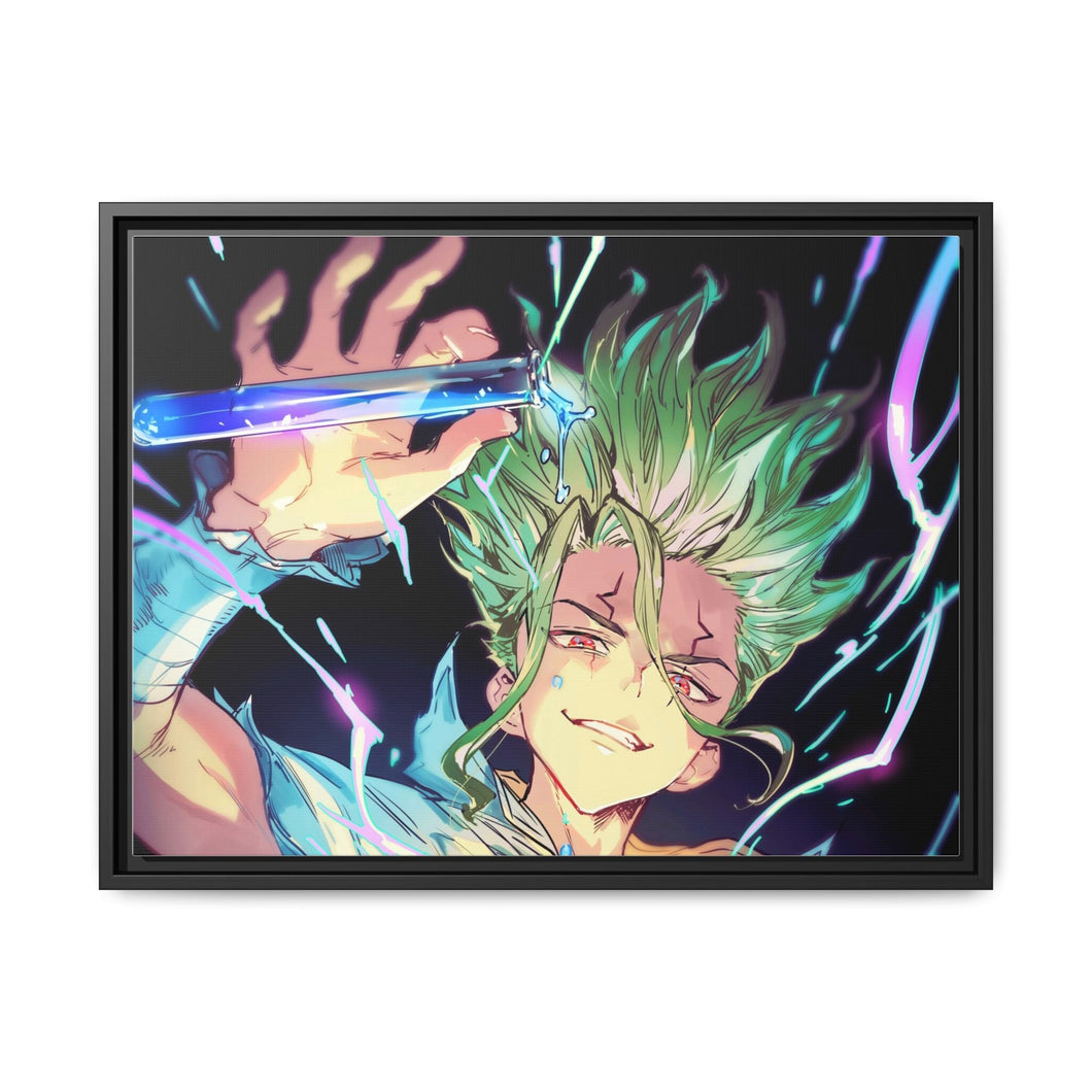Anime Dr. Stone Canvas Framed Art Print