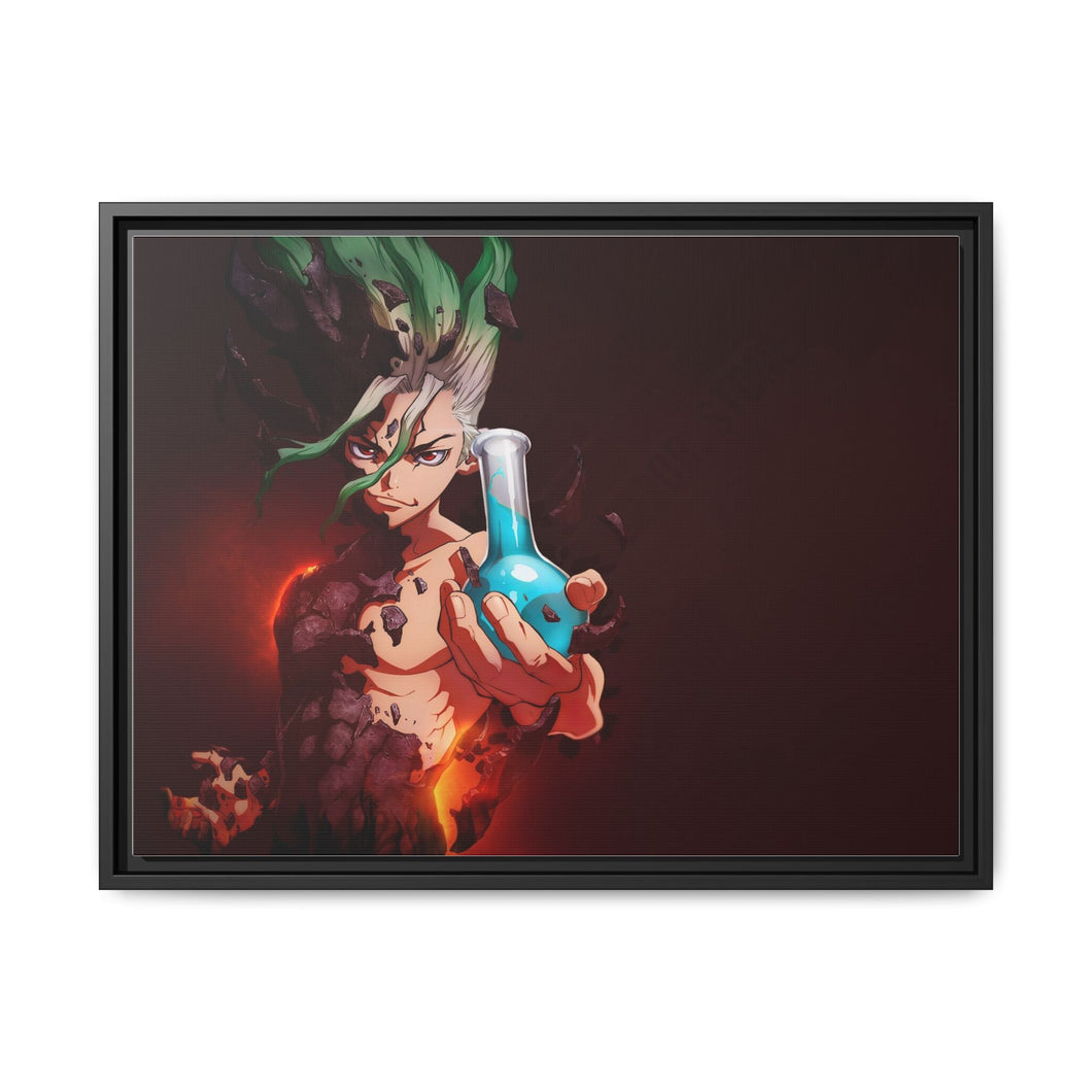 Anime Dr. Stone Canvas Framed Art Print