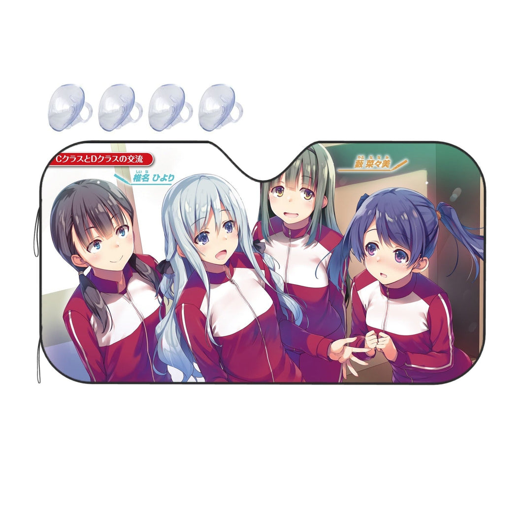 A Group of Class-D  Car Sunshade