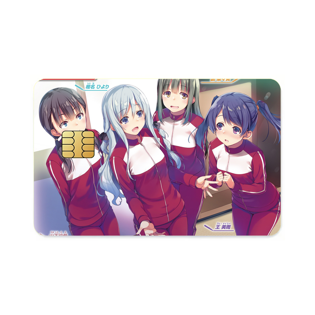 A Group of Class-D  Credit Card Skins (4-in-1 Pack)