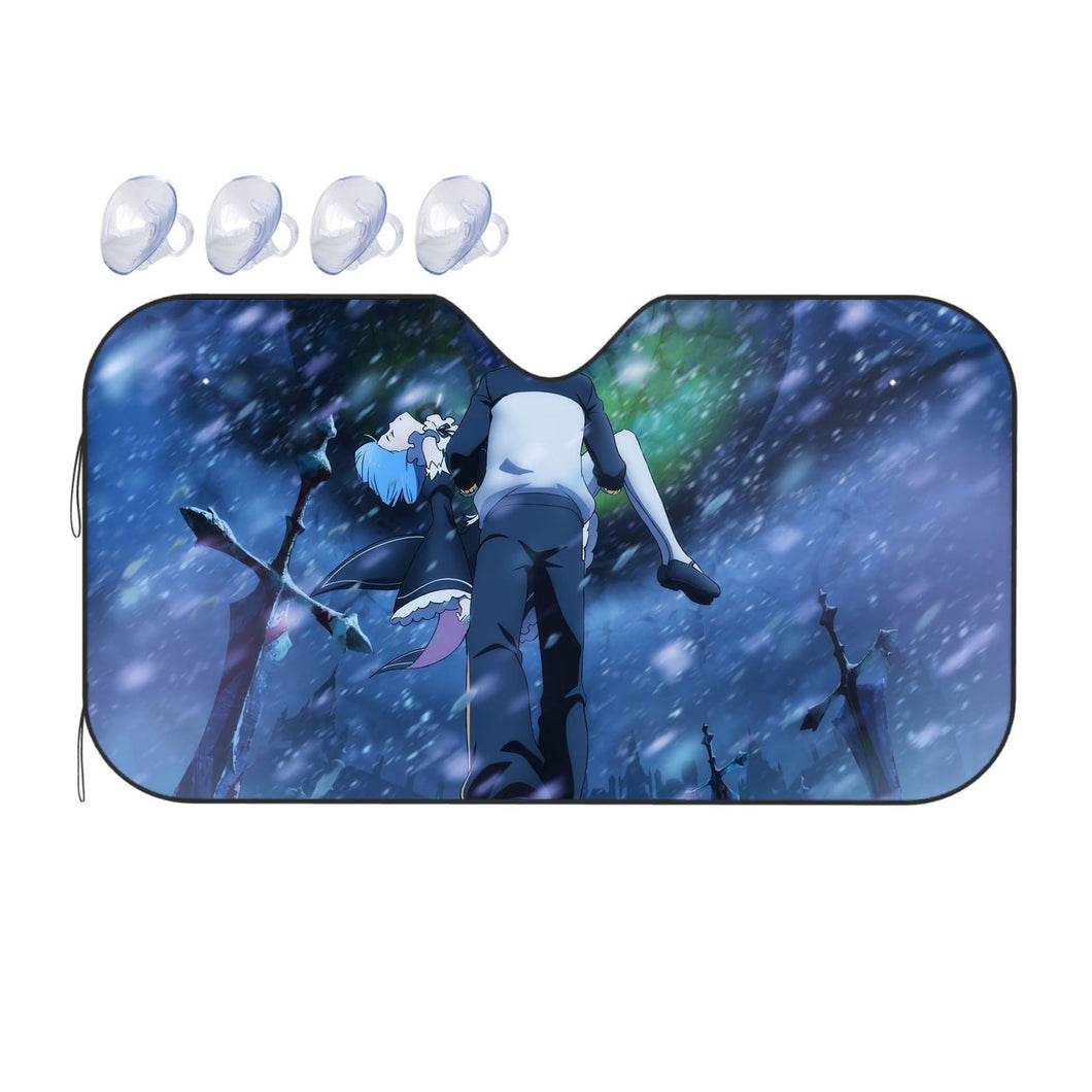 And I Should Accept All This..?  Car Sunshade