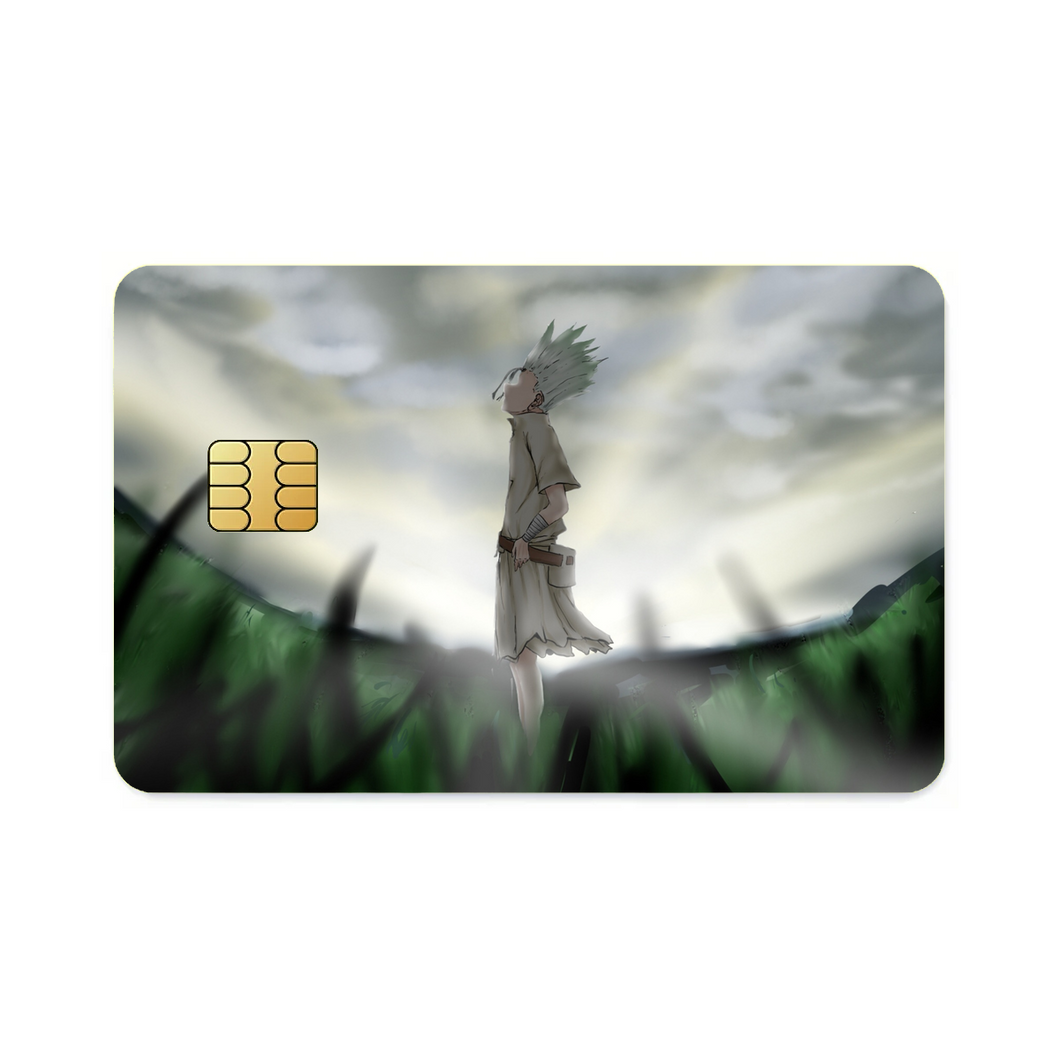 Anime Dr. Stone  Credit Card Skins (4-in-1 Pack)