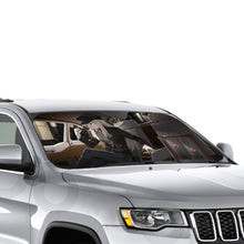 Load image into Gallery viewer, Anime Hunter x Hunter  Car Sunshade
