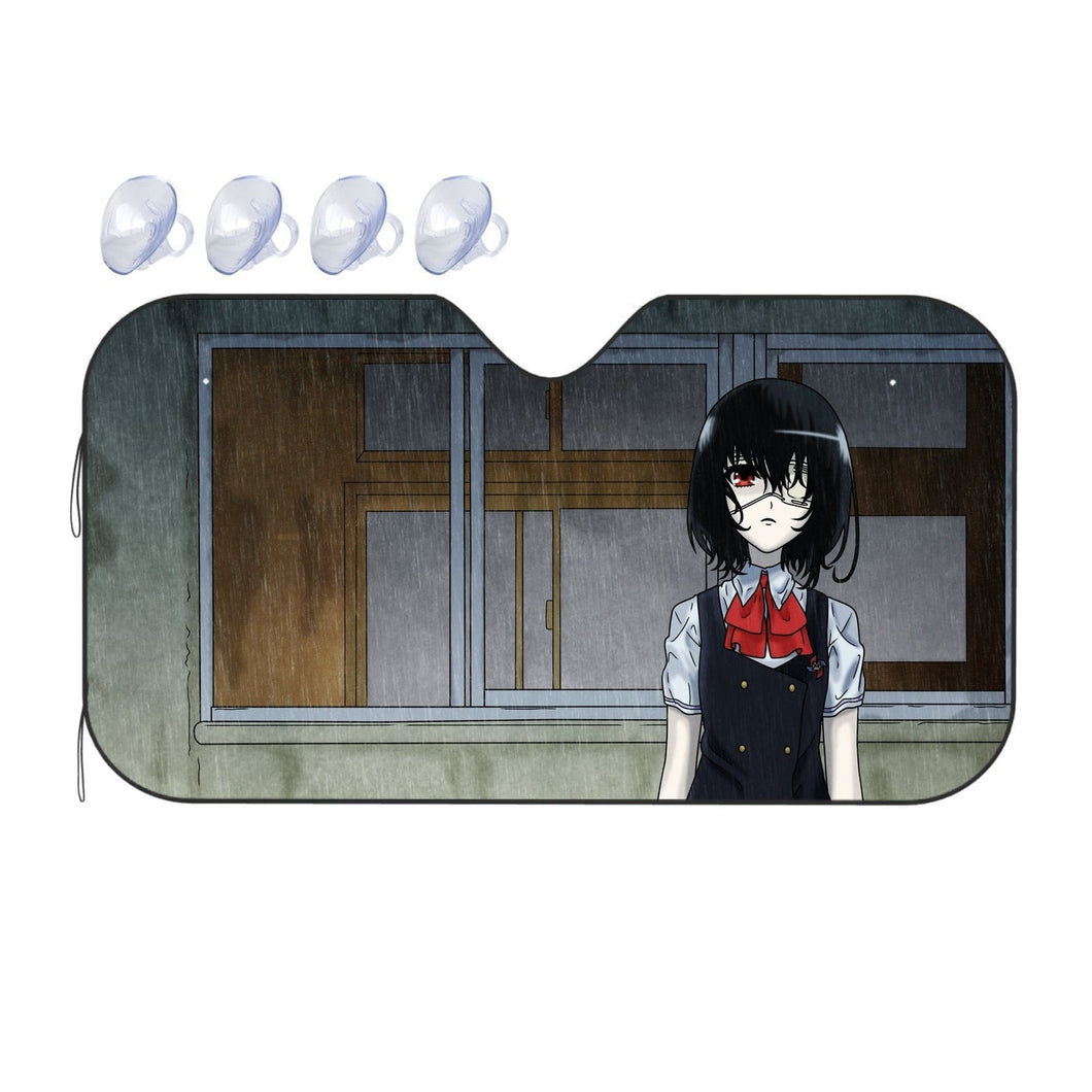 Another  Car Sunshade