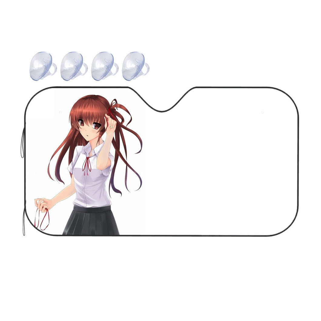 Another  Car Sunshade