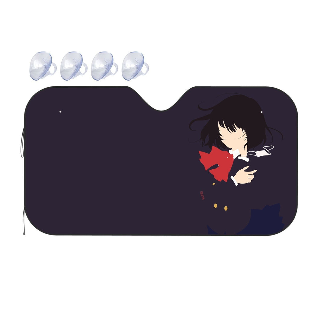 Another  Car Sunshade