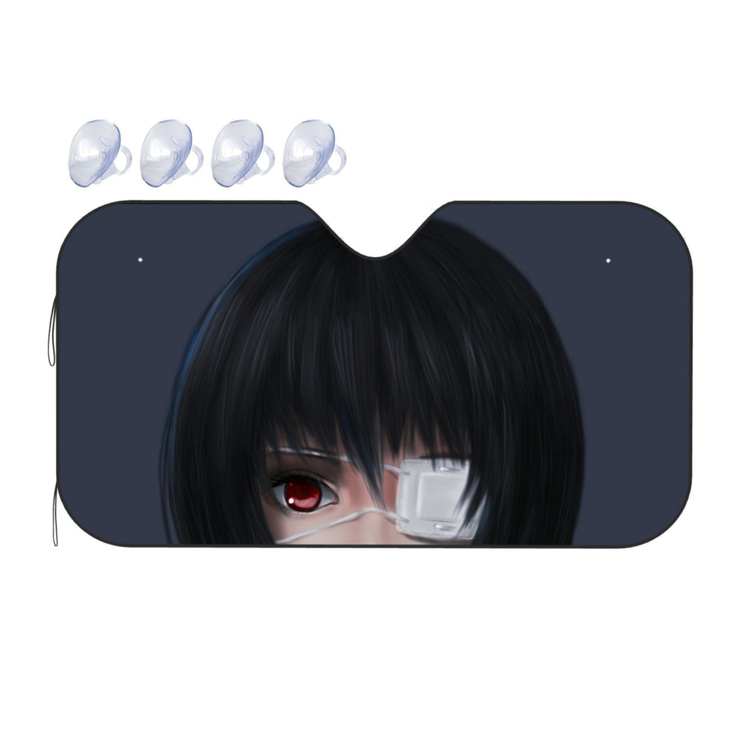 Another  Car Sunshade