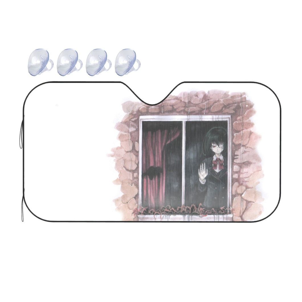 Another  Car Sunshade